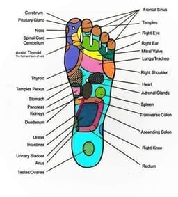 Acupressure Foot Massage Mat view 3