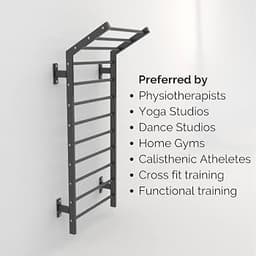 Wall-Mounted Swedish Ladder with Overhead Pull-Up Bars view 2