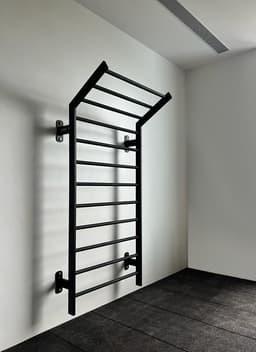 Wall-Mounted Swedish Ladder with Overhead Pull-Up Bars view 3